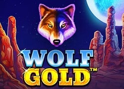 Wolf G Fat Pirate Casino Game