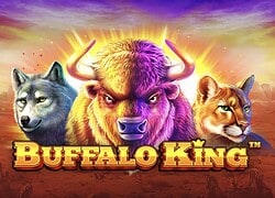 Buffalo King Fat Pirate Casino Slot