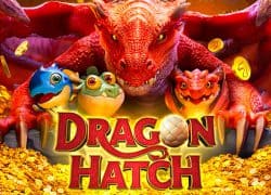 Dragon Hatch Fat Pirate Casino Game