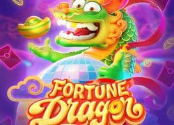 Fortune Dragon Fat Pirate Casino Game