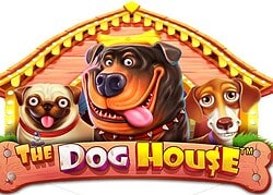 Dog House Fat Pirate Casino Game